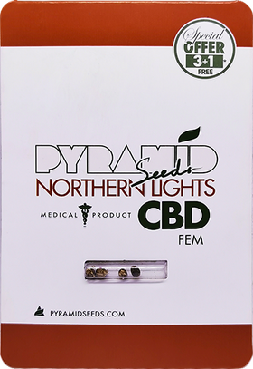 Northern Lights CBD Fem