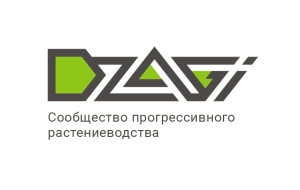 Форум Дзаги
