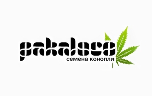 Pakaloco сидшоп