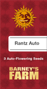 Runtz AutoFem