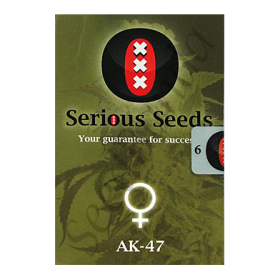 AK-47 Fem
