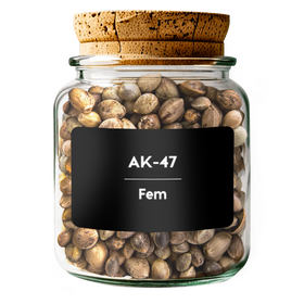 AK-47 Fem