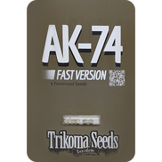 AK74 Fast Version Fem