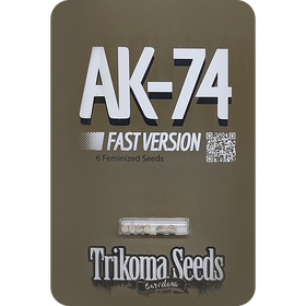 AK74 Fast Version Fem
