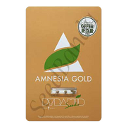 Amnesia Gold Fem