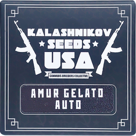 Amur Gelato AutoFem