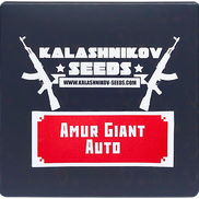 Амурский Гигант AutoFem