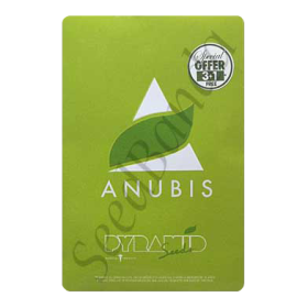 Anubis Fem