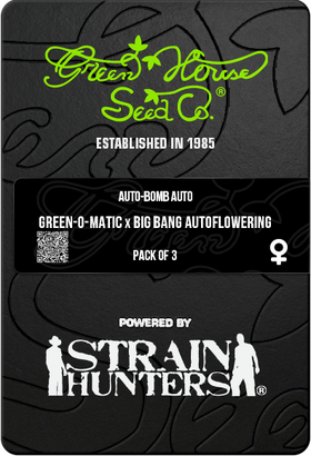 Auto-Bomb AutoFem