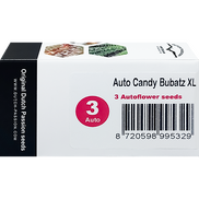 Candy Bubatz XL AutoFem