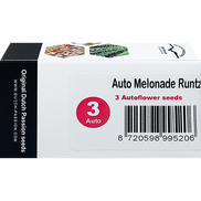 Melonade Runtz AutoFem