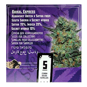 Baikal Express Fem