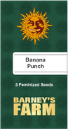Banana Punch Fem