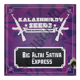 Big Altai Sativa Express Fem