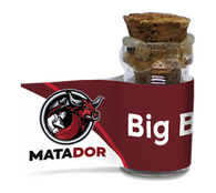 Big Bang AutoFem