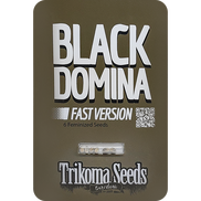 Black Domina Fast Version Fem
