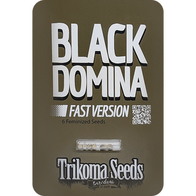 Black Domina Fast Version Fem