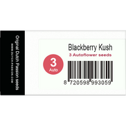 Blackberry Kush AutoFem