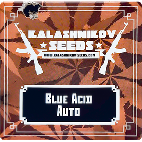 Blue Acid AutoFem