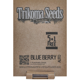 Blueberry AutoFem