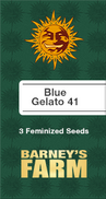 Blue Gelato 41 Fem