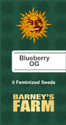 Blueberry OG Fem