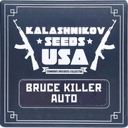 Bruce Killer AutoFem