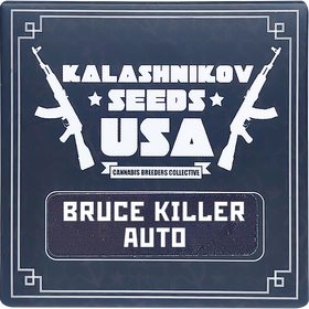 Bruce Killer AutoFem