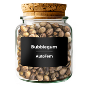 Bubblegum AutoFem