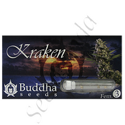 Kraken Fem