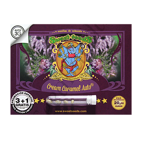 Cream Caramel AutoFem