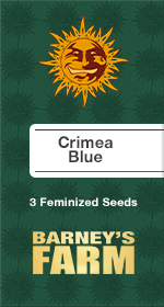 Crimea Blue Fem