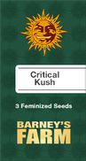 Critical Kush Fem