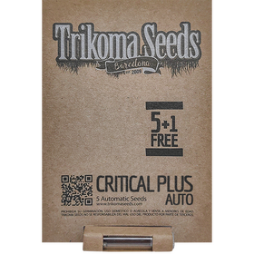 Critical Plus AutoFem