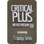 Critical Plus Fast Version Fem