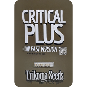 Critical Plus Fast Version Fem