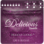 Delicious Cookies Fem