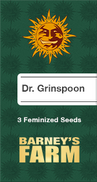 Dr. Grinspoon Fem