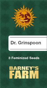 Dr. Grinspoon Fem