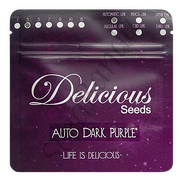 Dark Purple AutoFem