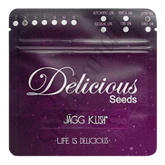 Jagg Kush Fem