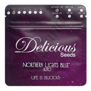 Nortern Light Blue AutoFem