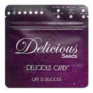 Delisious Candy Fem