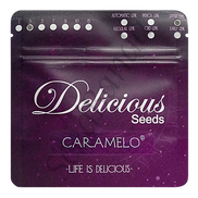 Caramelo Fem