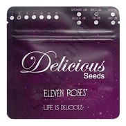 Eleven Roses Fem