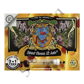 Sweet Cheese XL AutoFem