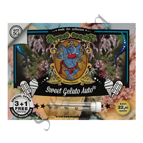 Sweet Gelato AutoFem