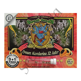 Cream Mandarine XL AutoFem
