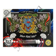Blow Mind AutoFem