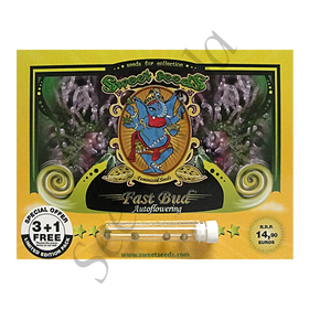 Fast Bud AutoFem